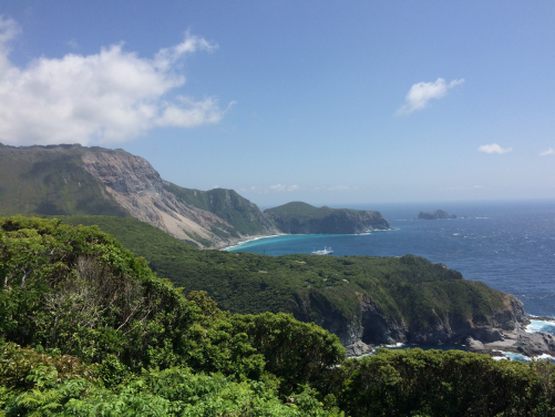 神律島的環境。由東京抵達伊豆羣島不同島嶼船程約三至十小時，而來往不同島嶼間的船班則比較稀疏。研究員登島後會入住民宿，並在早上前往研究地點和開始尋找岡田石龍子，直至下午結束。（圖片提供: Félix Landry Yuan）