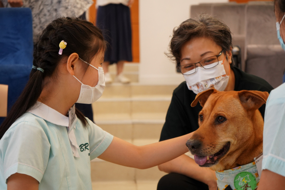 港大《童狗有話兒》研究結果 伴讀犬融入課程有助發展小學生的社交情緒能力