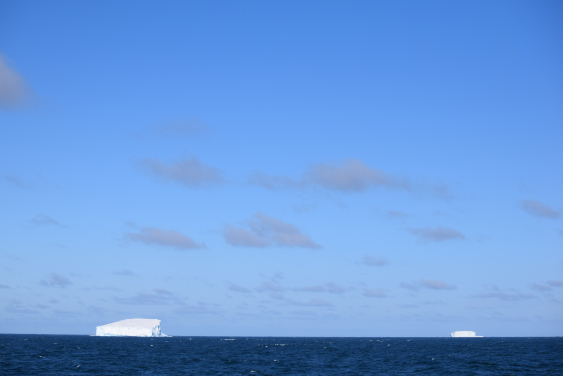 Beneath the vast blue sky, the icebergs of the Southern Ocean stand silently, witnessing one of Earth's most untouched and fragile beauties. Photo credit: Minoru Ikehara.
 